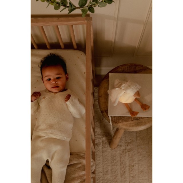 Zvučna mazilica i noćna lampa - Guska