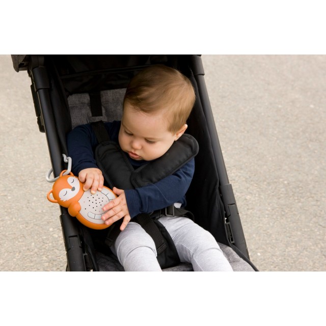 Zvučni Senzor Za Putovanja, Lisica