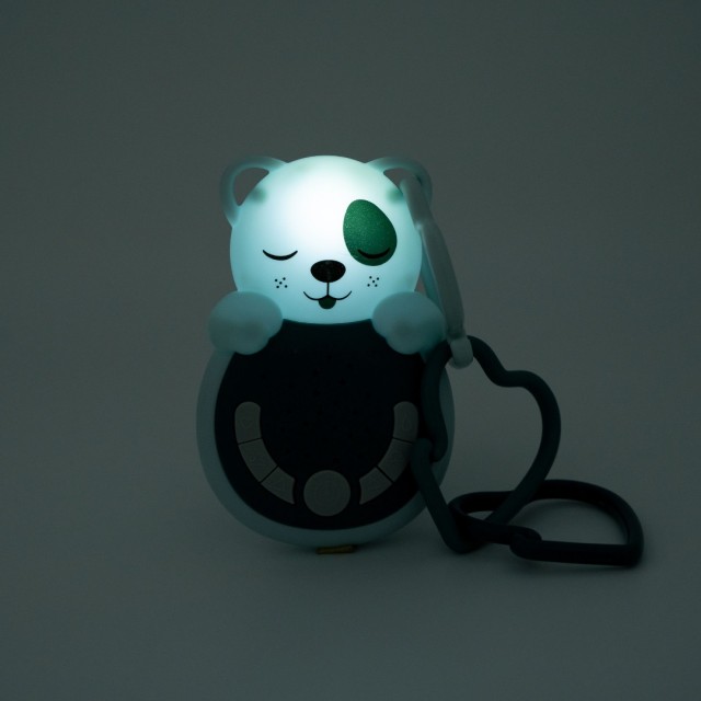 Zvučni Senzor Za Putovanja, Kuca