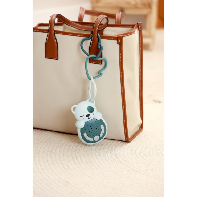 Zvučni Senzor Za Putovanja, Kuca