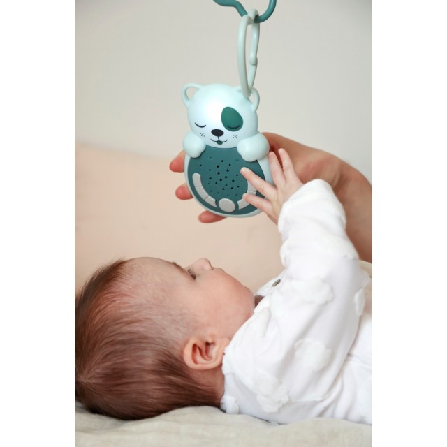 Zvučni Senzor Za Putovanja, Kuca