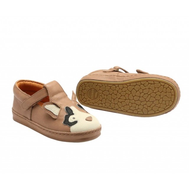 Cipele Xan Exclusive - Calico Cat