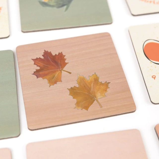 Igra Memorije - Šumski Prijatelji