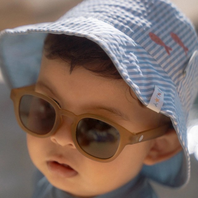 Kapa za sunce sa dva lica - Sea Life