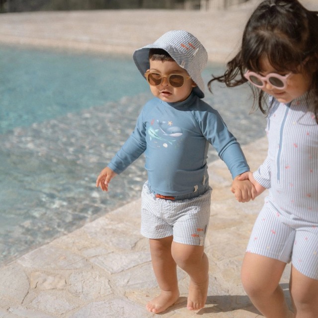 Kapa za sunce sa dva lica - Sea Life