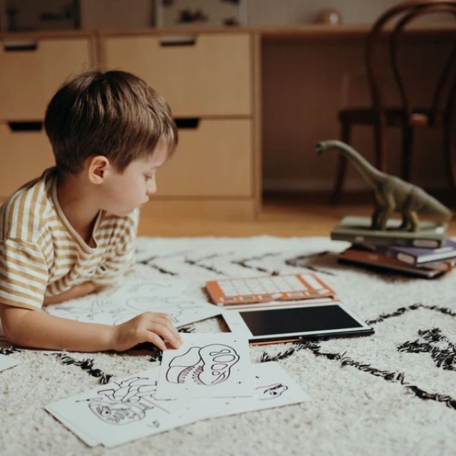 Kidywolf Mini Lcd Tablet za decu, Dinosaurs Kidywolf Mini Lcd Tablet za Crtanje I Pisanje