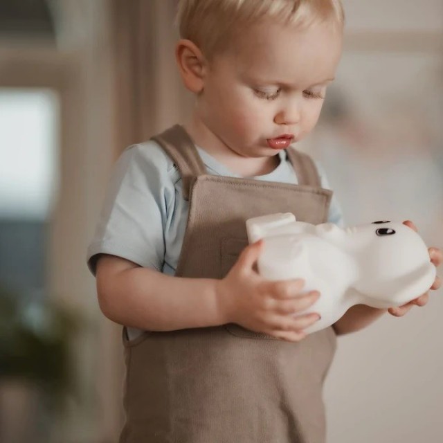 Kidywolf Noćna Lampa, Slon