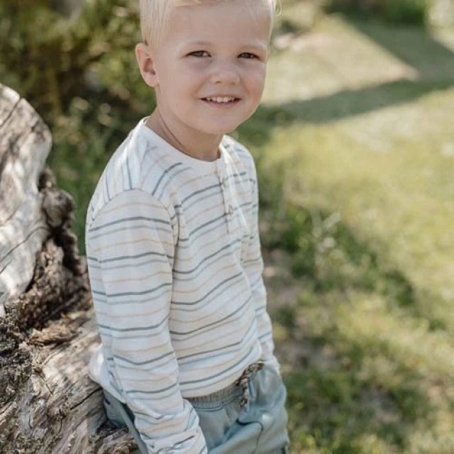 Majica Dugih Rukava Na Pruge - Forest Friends