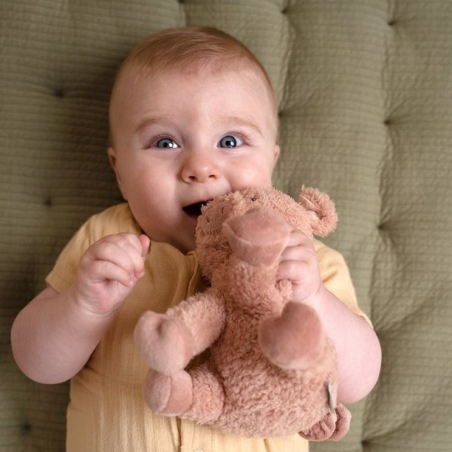 Plišana Igračka Prase 17Cm - Little Farm