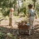 Plišana Igračka Lisica - Forest Friends
