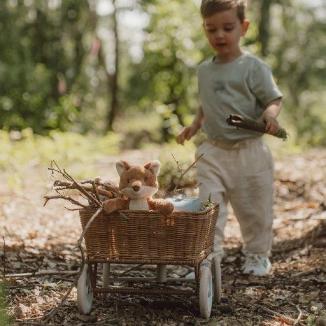 Plišana Igračka Lisica - Forest Friends