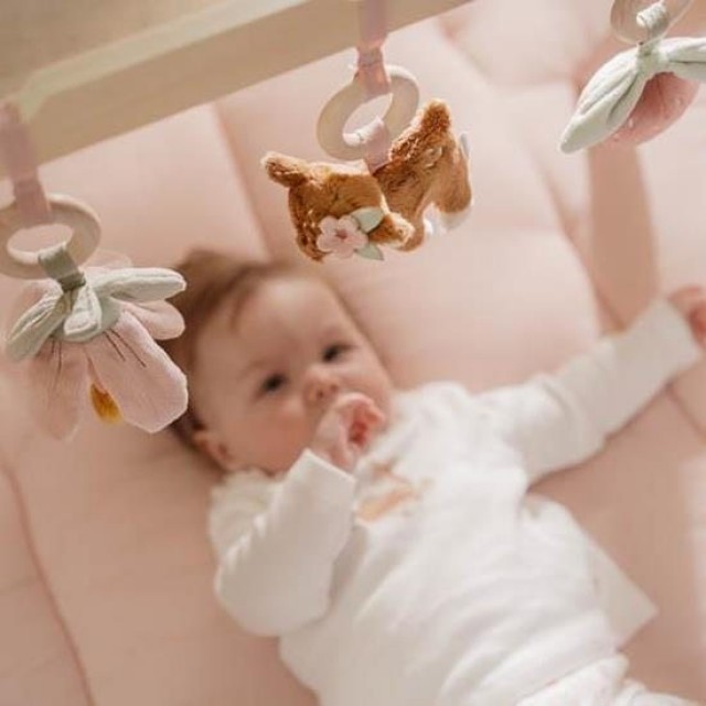 Gimnastika za bebe sa aktivnostima - Fairy Garden
