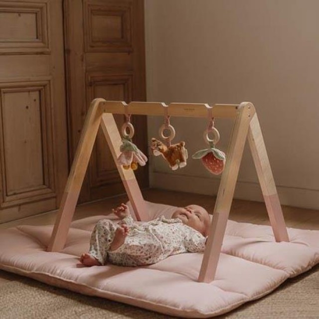 Gimnastika za bebe sa aktivnostima - Fairy Garden