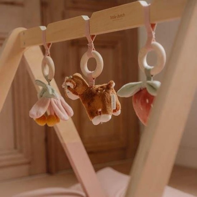 Gimnastika za bebe sa aktivnostima - Fairy Garden
