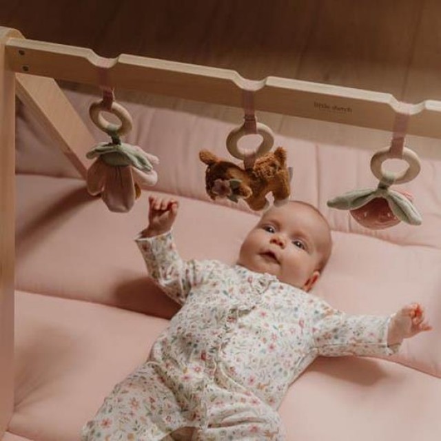 Gimnastika za bebe sa aktivnostima - Fairy Garden