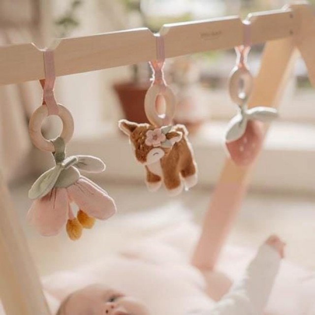 Gimnastika za bebe sa aktivnostima - Fairy Garden