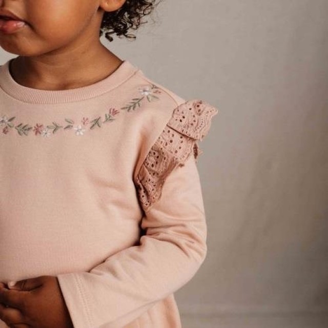 Haljina Dugih Rukava Sa Karnerima - Soft Rose, Little Farm