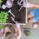 Kantica Za Baštu - Fairy Garden