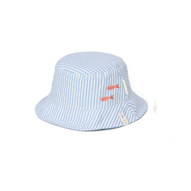 Kapa za sunce sa dva lica - Sea Life