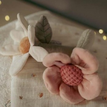 Mekana zvečka, cvet - Fairy Garden