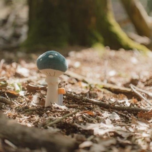 Mekana Zvečka, Pečurka - Forest Friends