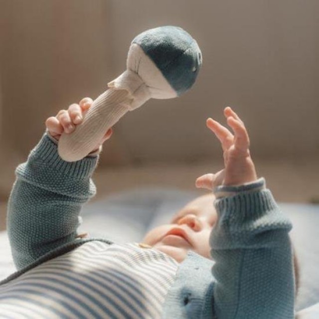 Mekana Zvečka, Pečurka - Forest Friends