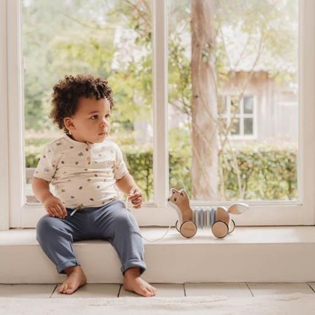 Povuci, Lisica - Forest Friends