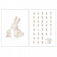 Poster A3 Baby Bunny, 42X32 Poster A3 Baby Bunny, 42X32