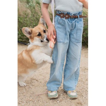 Dečiji voki toki - Dinosaurus