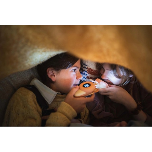 Dečiji Voki Toki  - Meda I Zeka